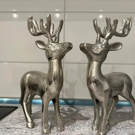 Modernes 8 In Apartament *