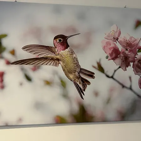 Modernes 8 In Dortmund