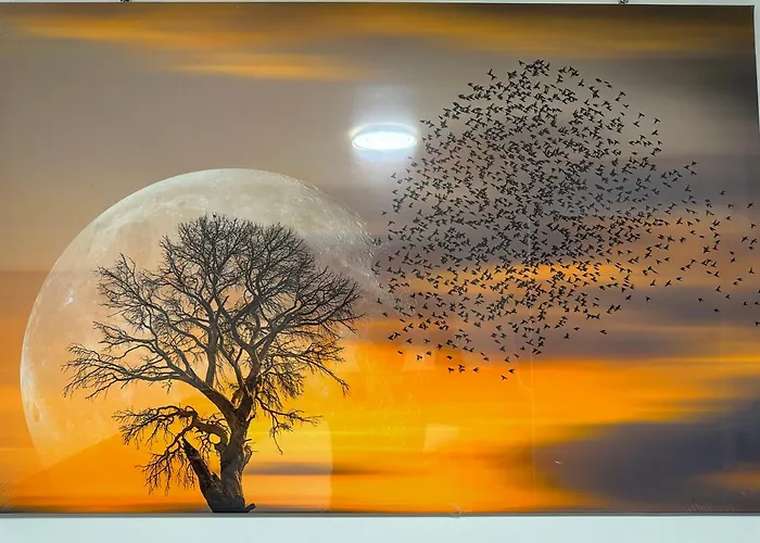 Modernes 8 In Apartament *