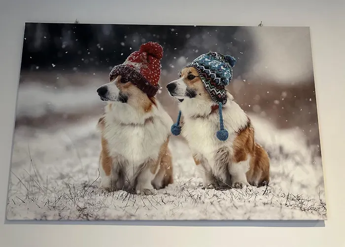 Apartament Modernes 8 In Dortmund