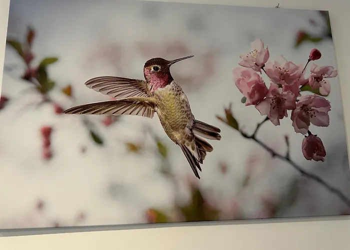 Modernes 8 In Dortmund